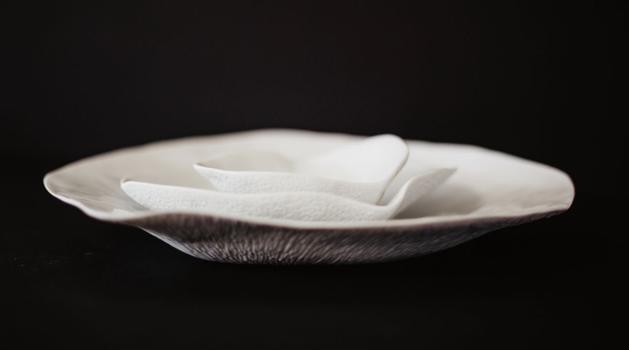 Assiettes et coupes en porcelaine Sarah Linda Forrer | Artoria Limoges
